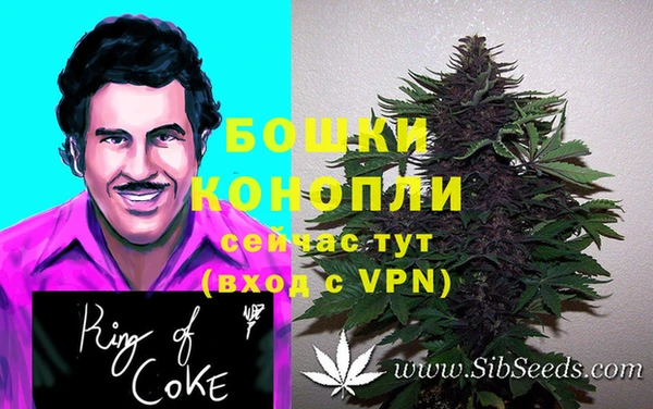 гидропоника Балахна